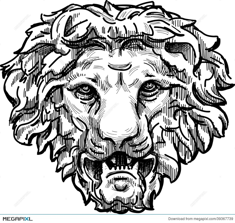 800x757 Snarling Lion Head Stock Photo 39367739