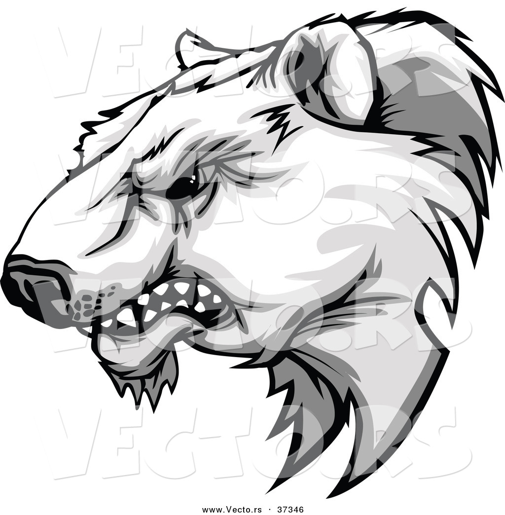 1024x1044 Drawn Polar Bear Fierce