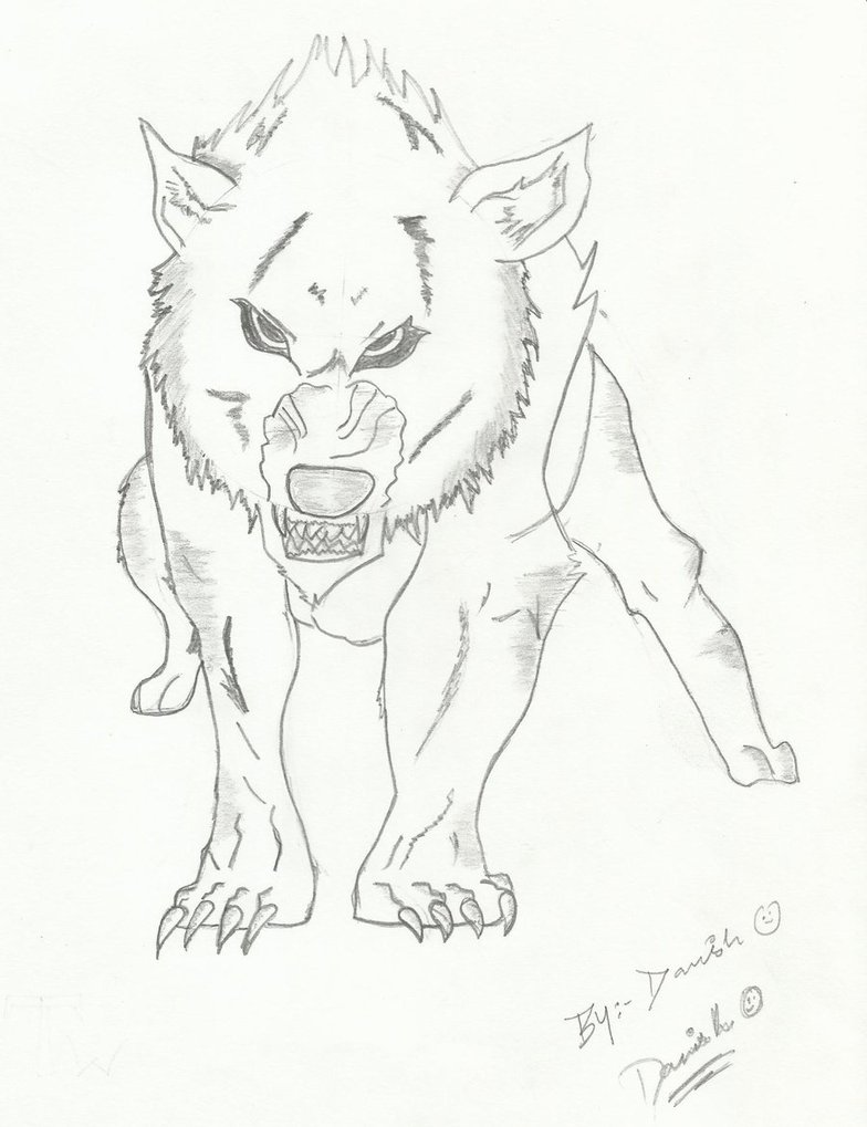 Growling Wolf Drawing at GetDrawings | Free download