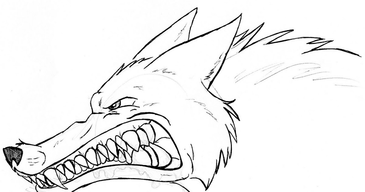 1200x630 More Wolf Concepts Lmo