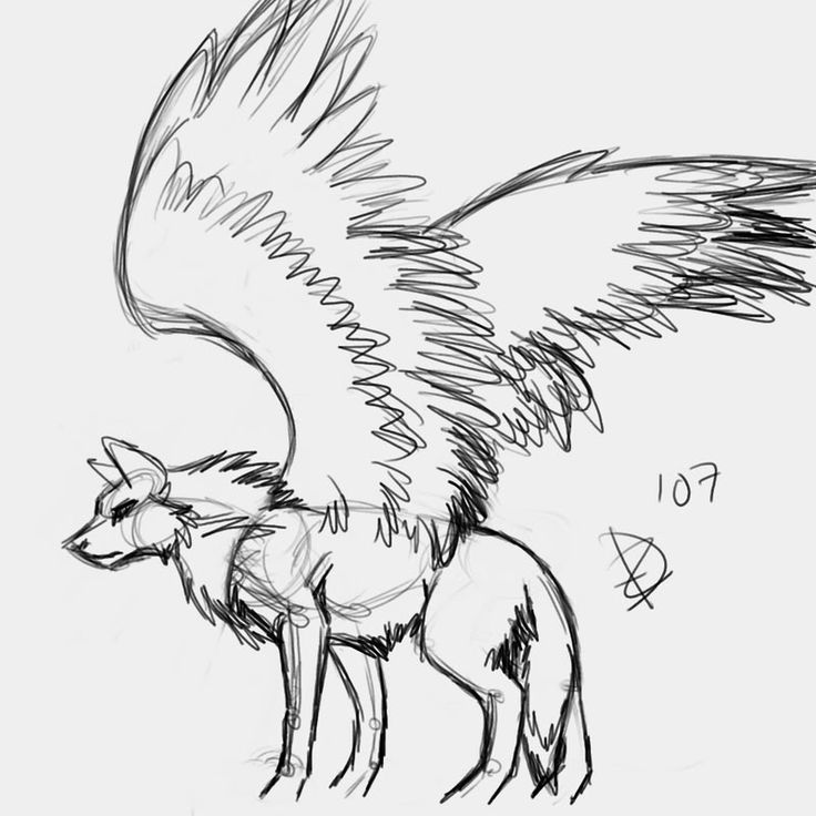 736x736 Wolf Drawing With Wings Wolves With Wings Drawings Next Tatto