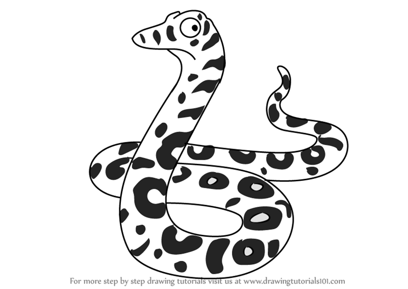 800x566 Step By Step How To Draw Snake From The Gruffalo