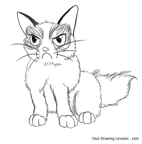 500x506 Grumpy Cat Sketch Everyone's Favorite Perpetually