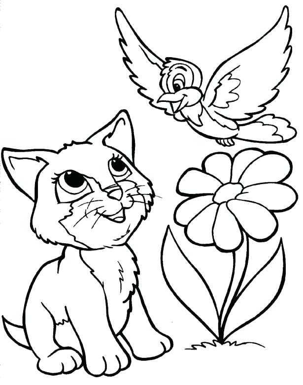 615x782 Grumpy Cats Kittens Coloring Pages