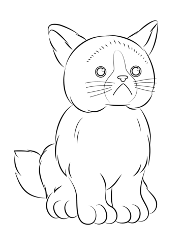 358x480 Webkinz Grumpy Cat Coloring Page Free Printable Coloring Pages