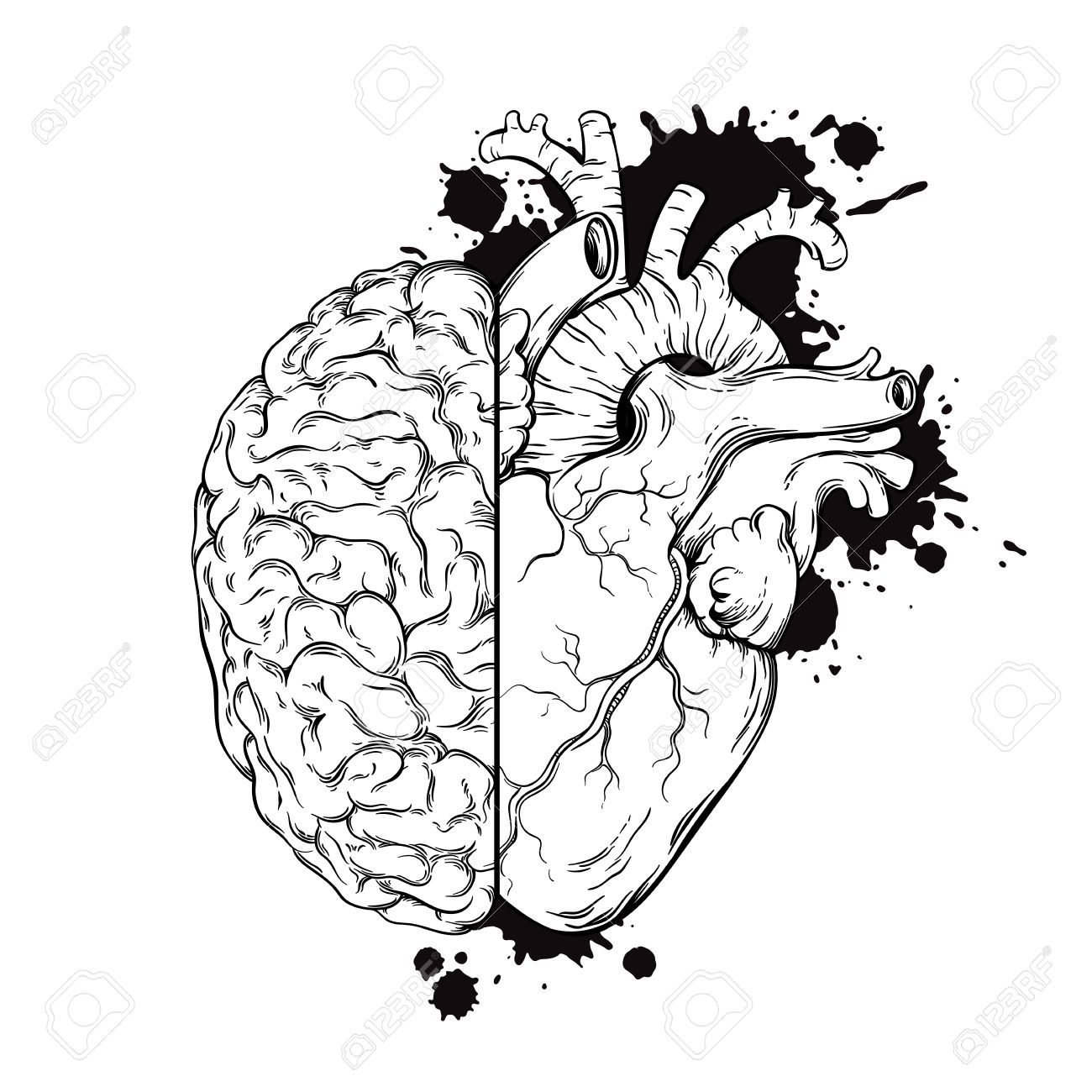 1300x1300 Hand Drawn Line Art Human Brain And Heart Halfs. Grunge Sketch