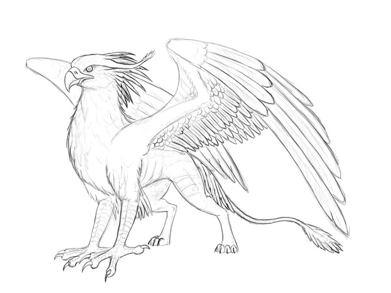 800x600 Gryphon Izora By Beast3