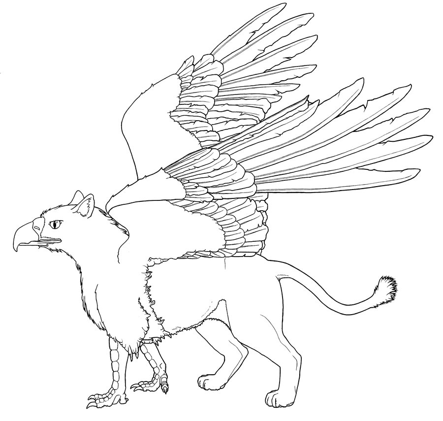 900x855 Gryphon Outline By Kinaheso