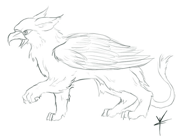 600x455 Gryphon Sketch By Brackenhawk