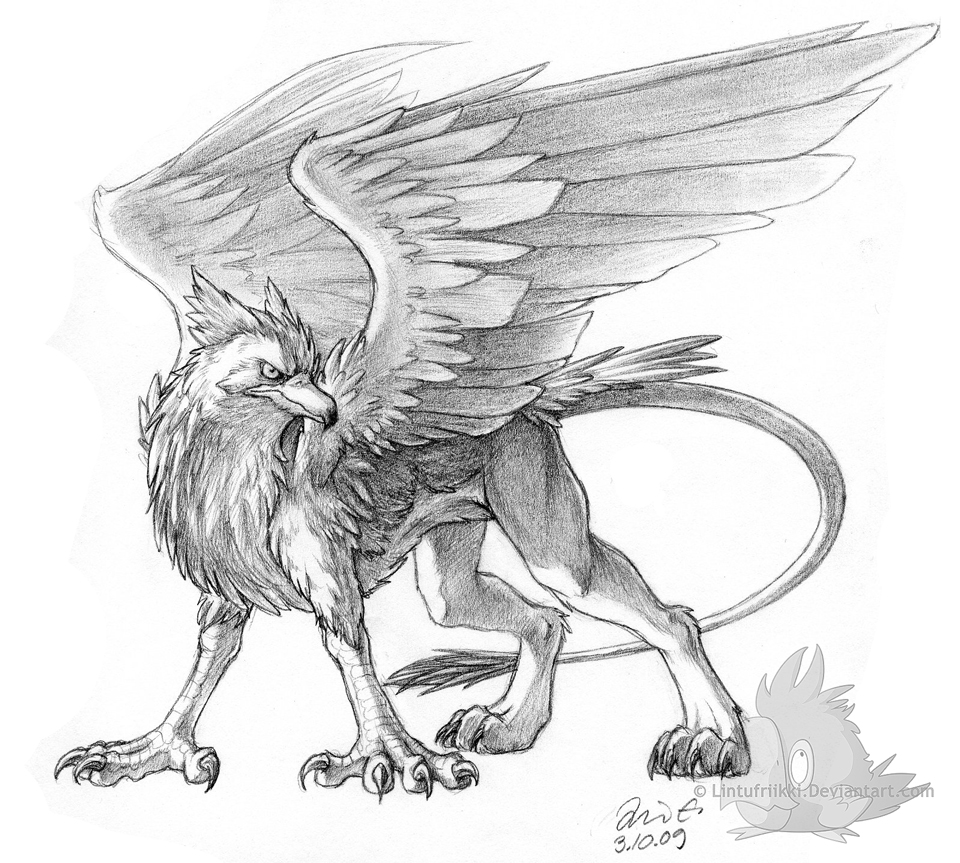 960x863 Pencil Gryphon By Lintufriikki