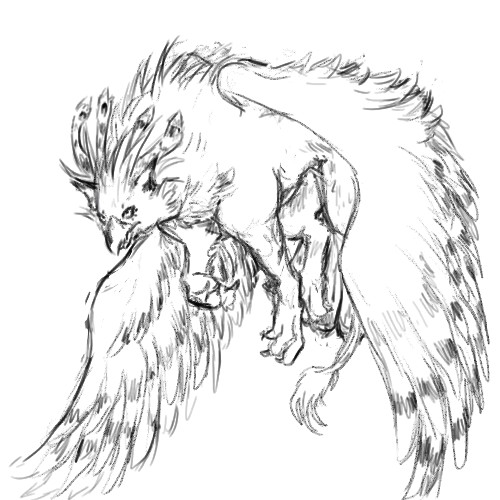 500x500 Raz Gryphon Sketch By Therarehunterhunter