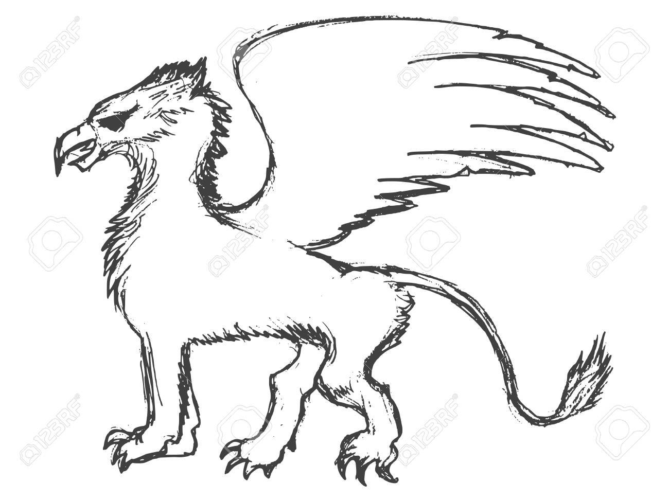 1300x974 Vector, Sketch, Hand Drawn Illustration Of Griffin Royalty Free