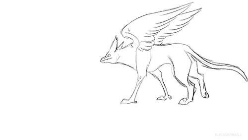 500x282 Griffin Gryphon Tumblr