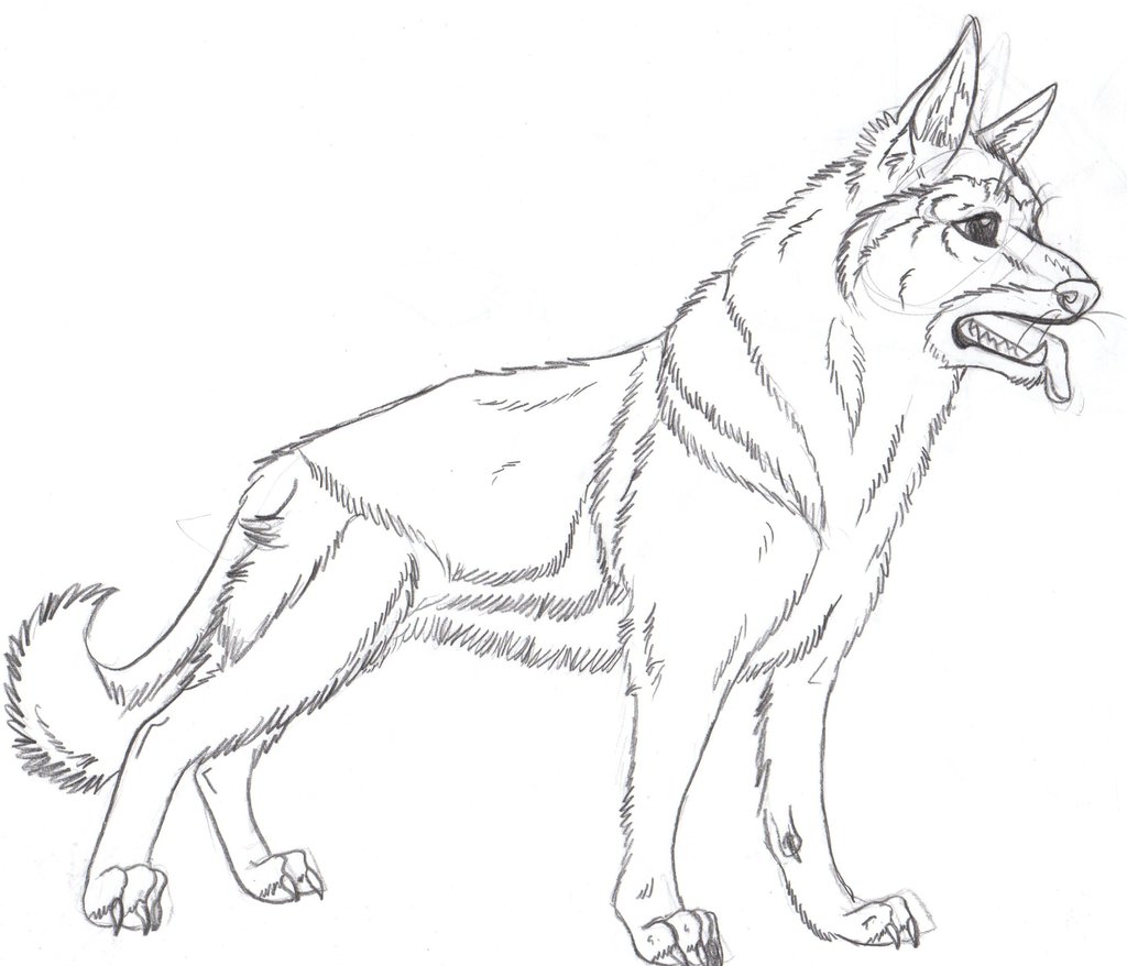 1024x878 German Shepherd Coloring Pages