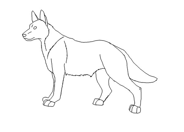 600x430 German Shepherd Dog Lineart By Avatardsunite