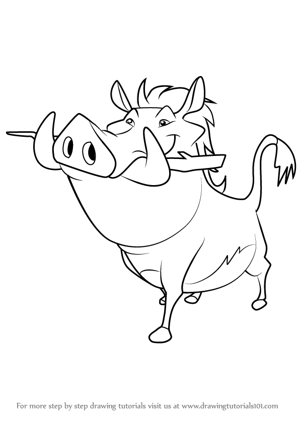 596x843 Learn How To Draw Pumbaa From The Lion Guard (The Lion Guard) Step