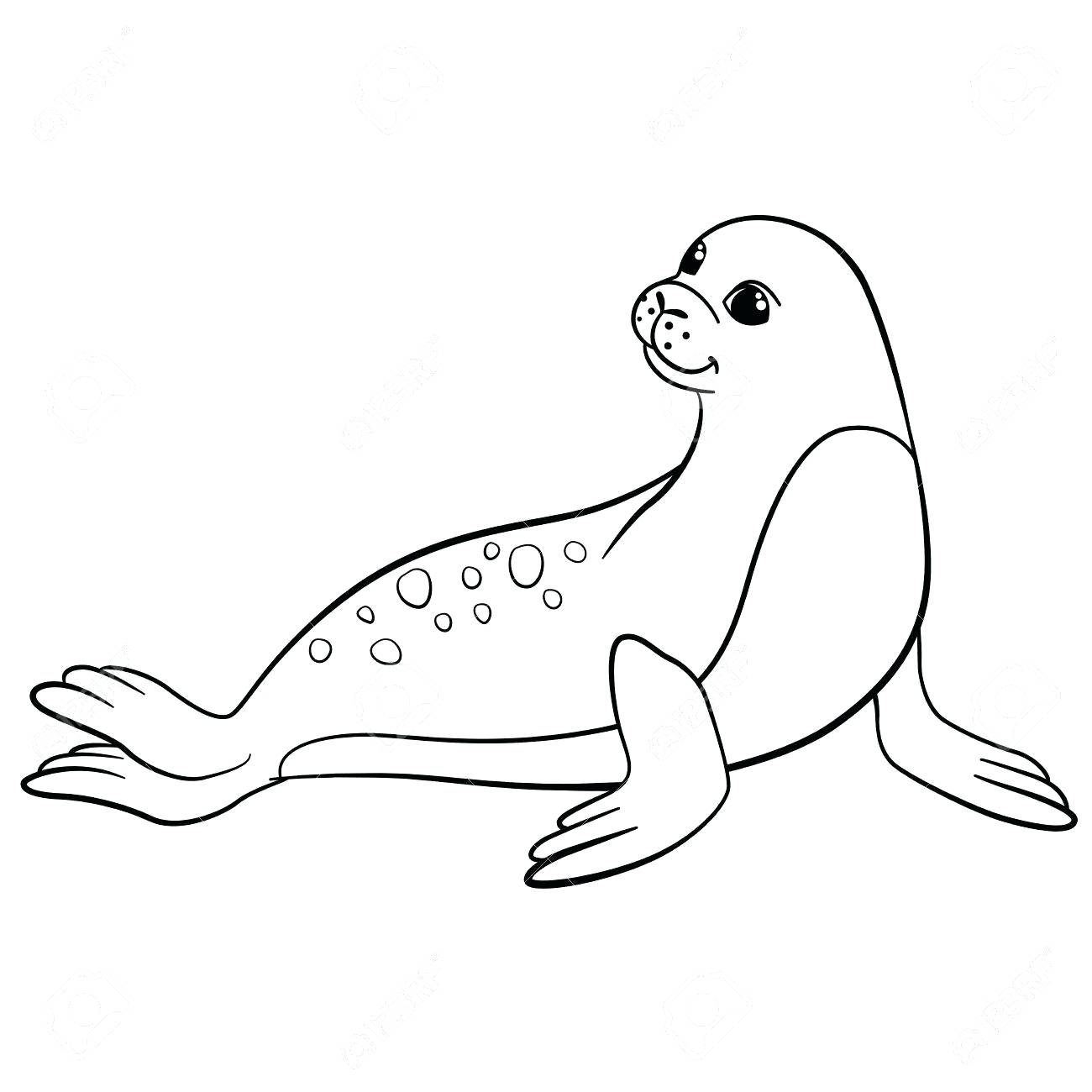 1300x1300 Coloring Sea Lion Coloring Pages Full Size Of Printable Drawing