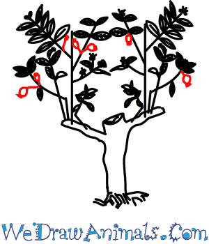 300x350 How To Draw A Guava Tree