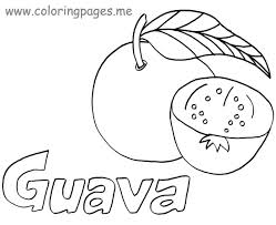 249x203 Guava Fruit Drawings