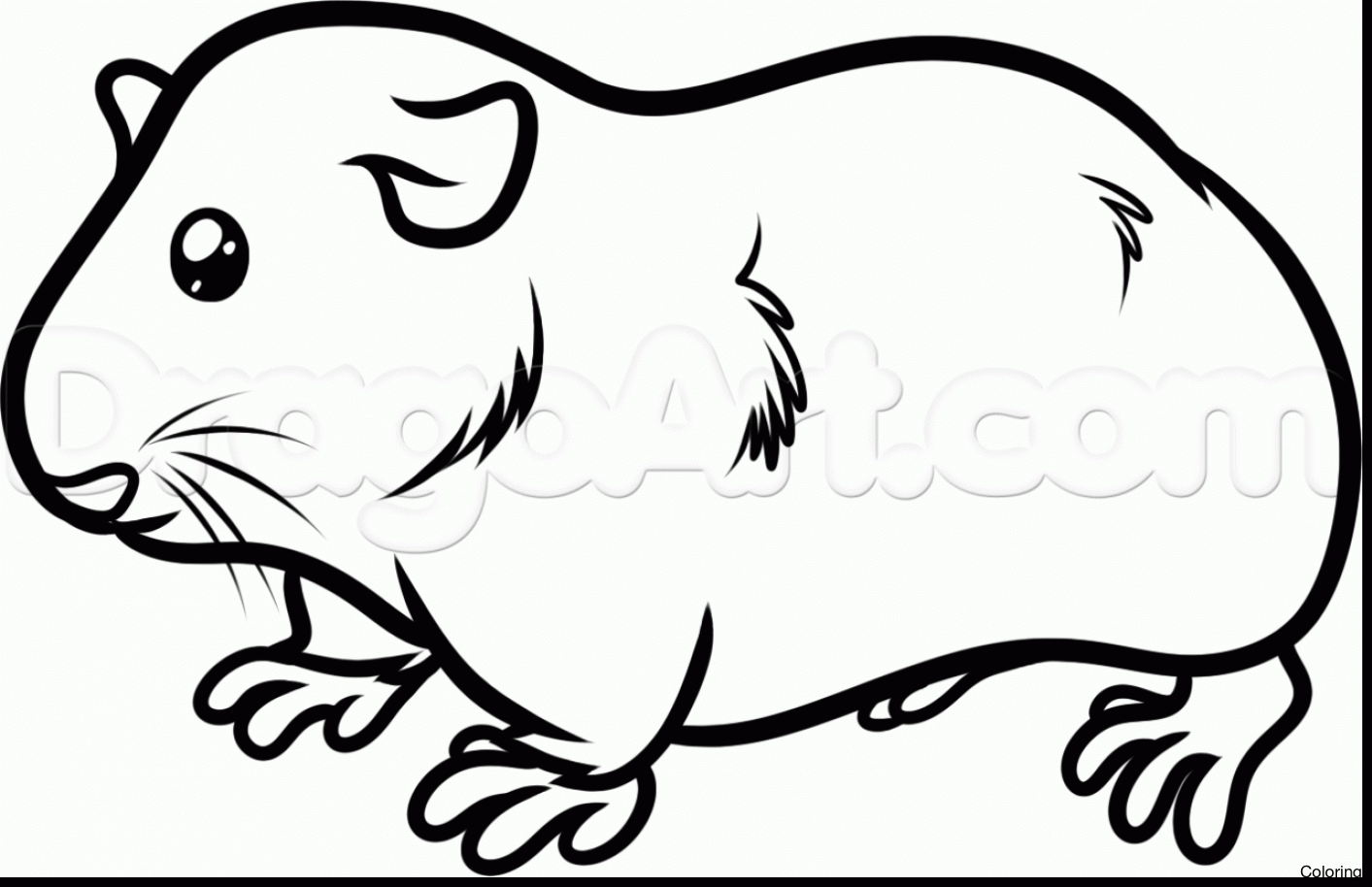1413x914 Guinea Pig Drawing Coloring Cage Pencil Diaiz