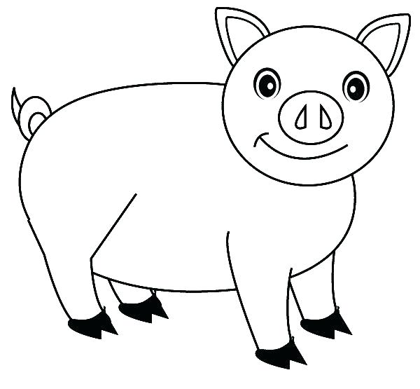 Guinea Pig Cartoon Drawing at GetDrawings | Free download