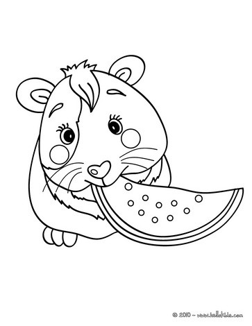 363x470 Guinea Pig Coloring Pages
