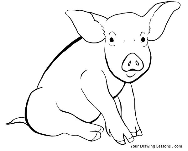 600x480 Pig Line Drawing By Mattleyva