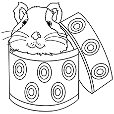 230x230 Top 25 Free Printable Guinea Pig Coloring Pages Online Free