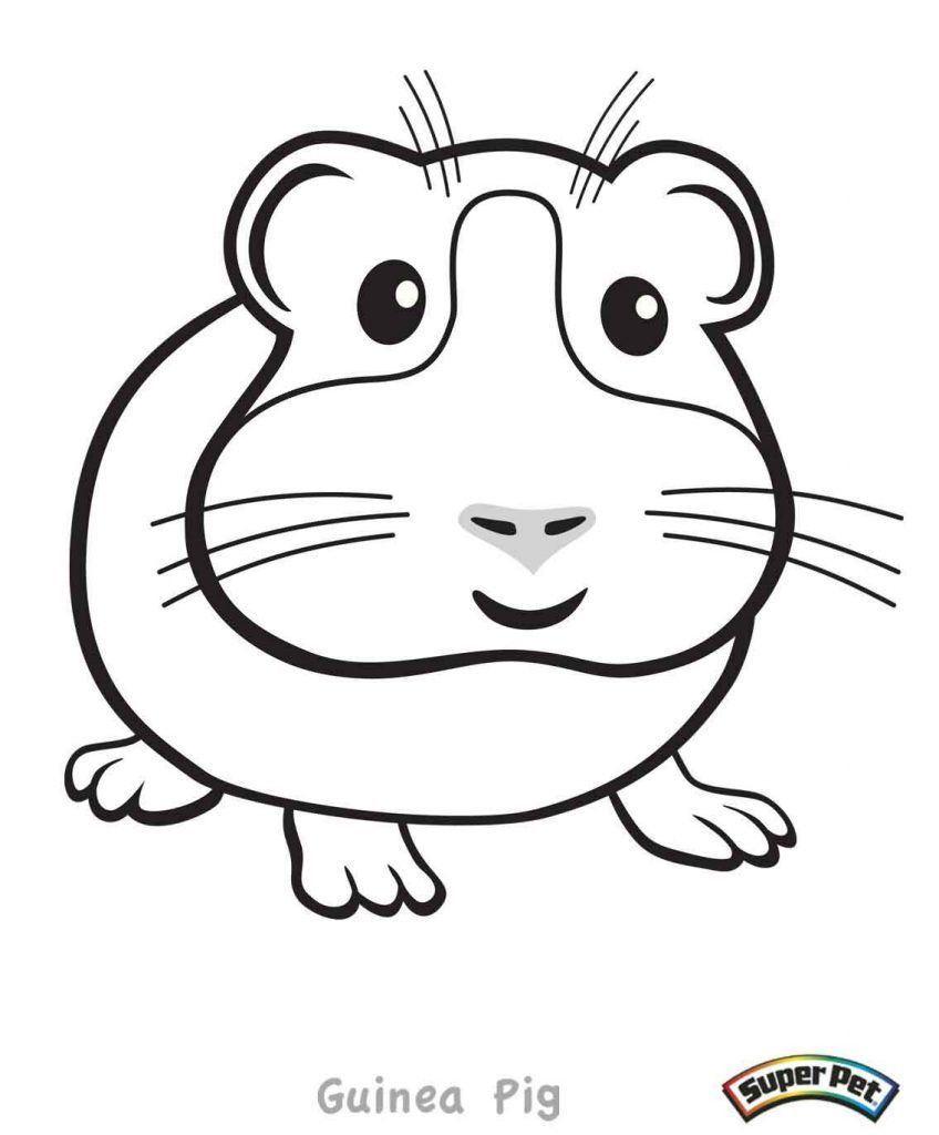 848x1024 Coloring Pages Of A Guinea Pig Coloring Page For Kids