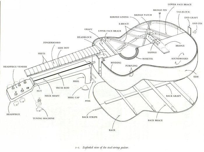700x523 Guitar Drawing Image This Is An Exploded View Of A Steel String