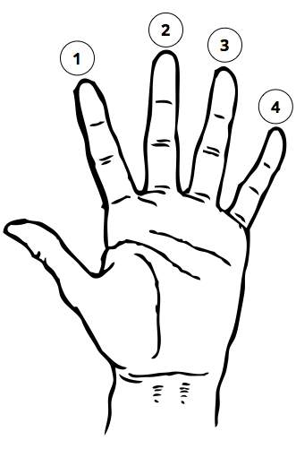 331x501 How To Play Guitar (An Easy Beginner's Guide) Musician Tuts