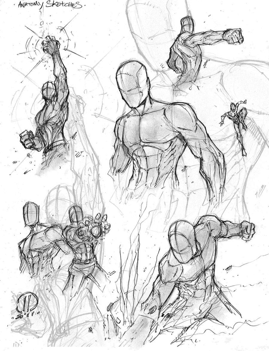 900x1172 Anatomy Warm Ups 2 By On @