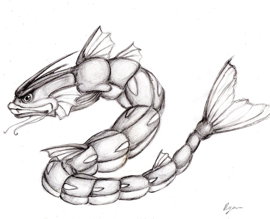 900x728 Gyarados Sketch By Reganismyfirstname