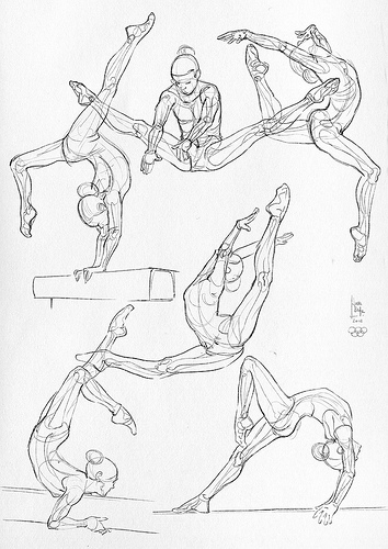354x500 Some Anatomical Studies