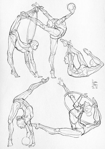 354x500 Some Anatomical Studies
