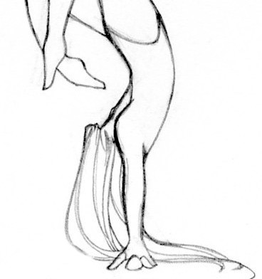 368x392 Ninja Gymnastics By Katarinu