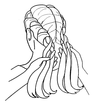 310x340 How To Make A Princess Anne Braid Cute Princess