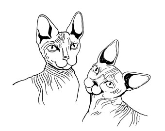 340x270 Hairless Cats Etsy