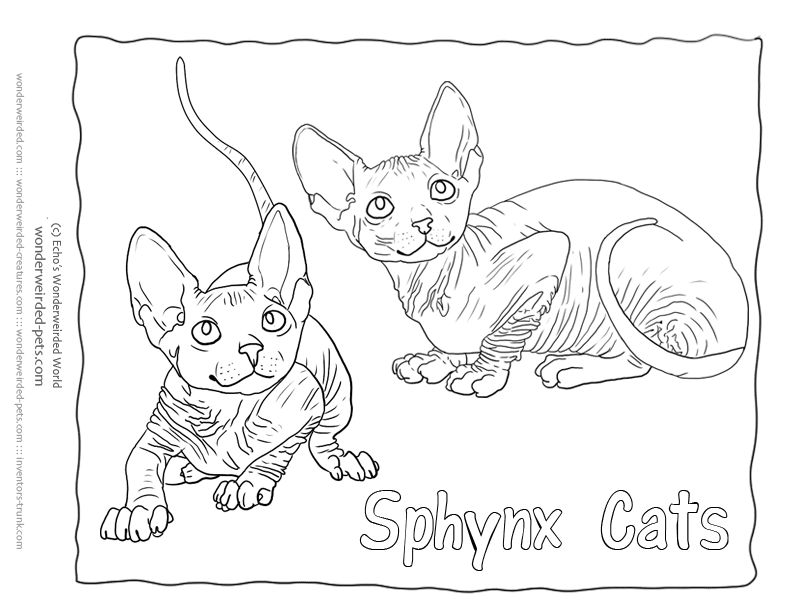 792x612 Sphynx Cat Coloring Pages