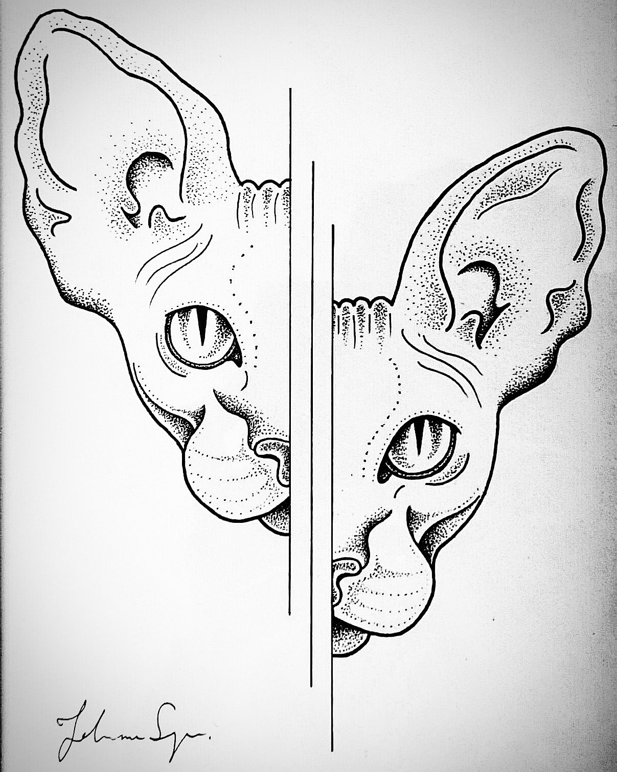 1207x1509 Sphynx Cat By Jojoseger