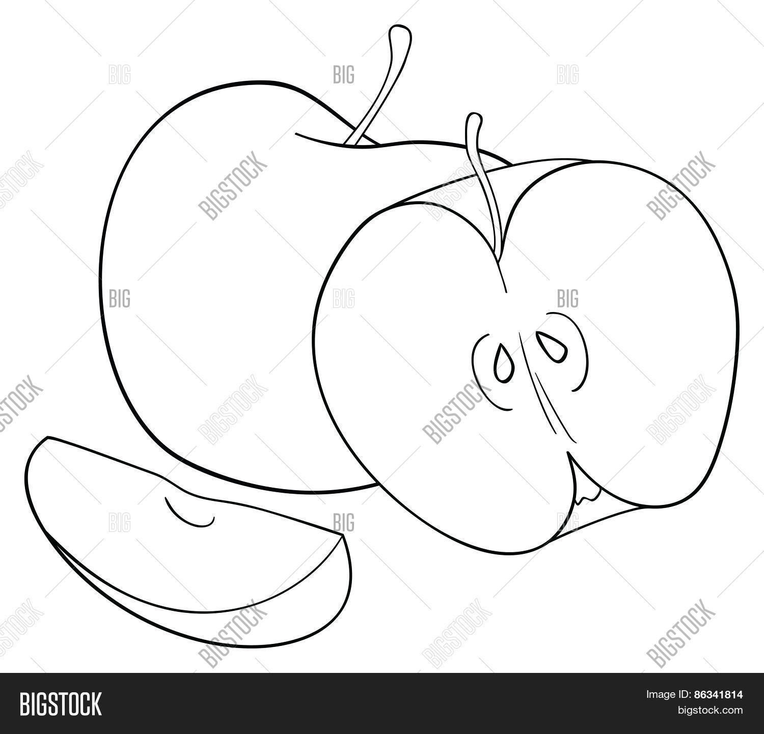 1500x1442 Delightful Garden