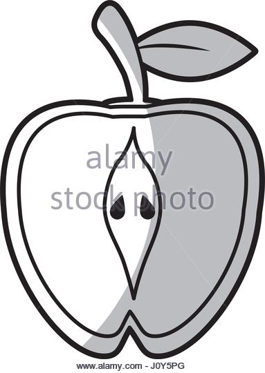 383x540 Half Apple Stock Vector Images