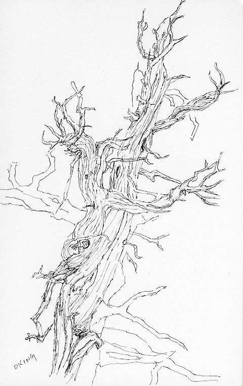 480x761 Vacation Sketches