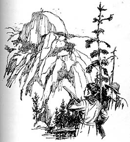 266x290 Dutch Courage And Other Storiesdutch Courage