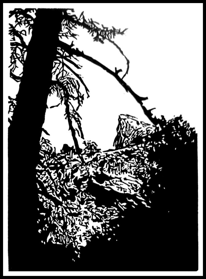 670x906 Half Dome Art By Victoria