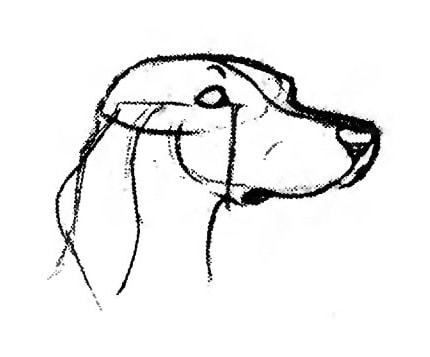 430x357 Draw The Dogs Face Half Turned 5 Min Art Tutorials