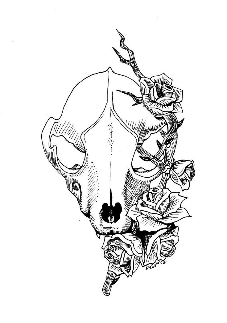736x1049 A Stencil Of Great Fox Skull Tattoo