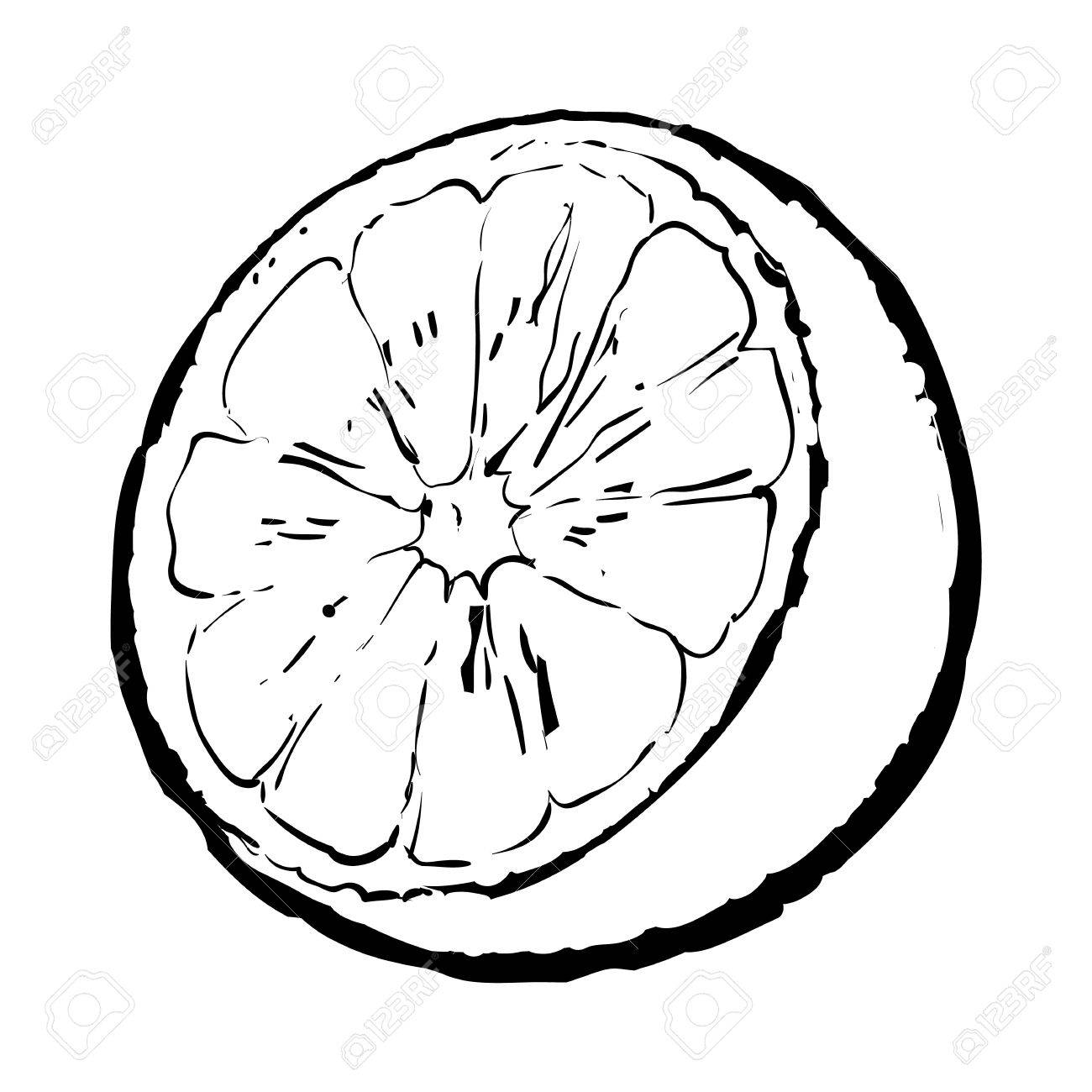 1300x1300 Realistic Colorful Hand Drawn Half Of Ripe, Juicy Orange, Sketch