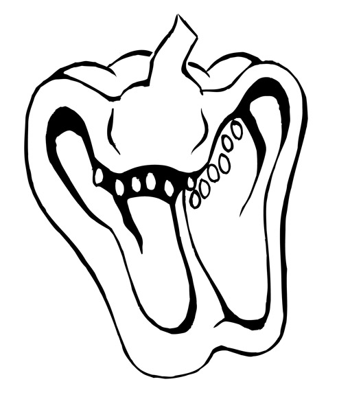 510x594 Spotted Pepper In Half By Brush Daily