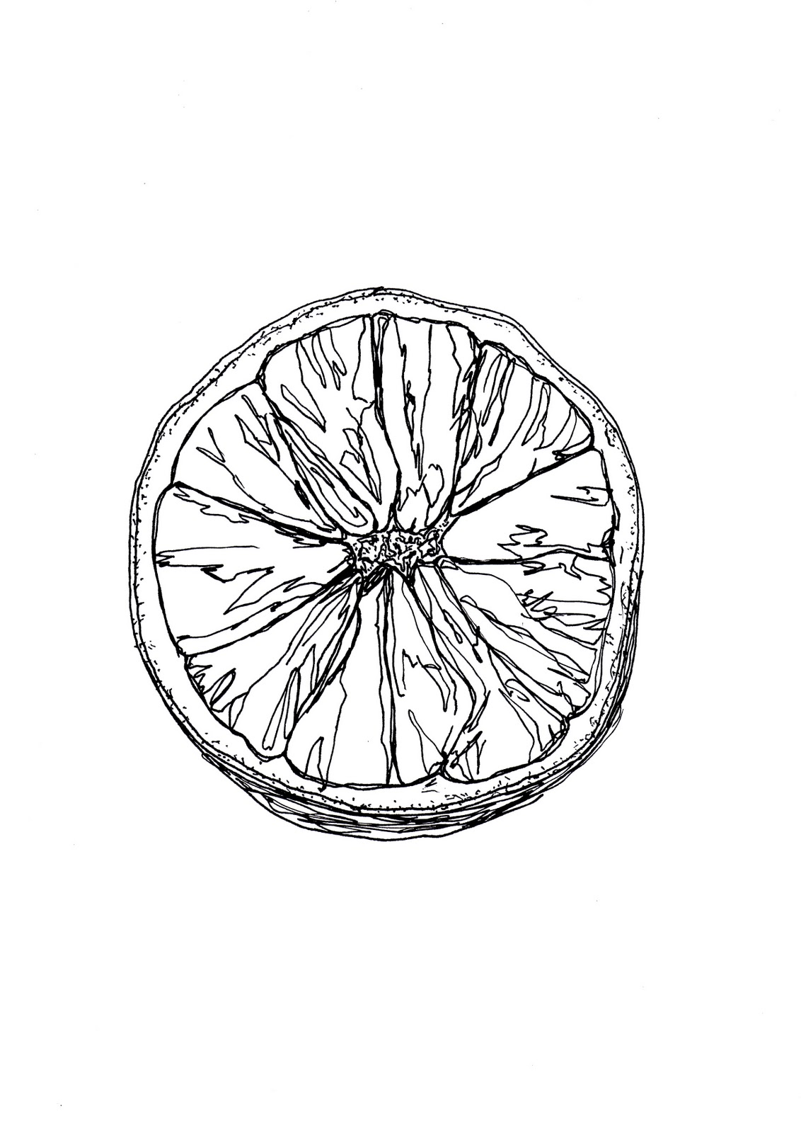 1132x1600 Detailed Observation Orange In Pen And Ink Art Inspiration